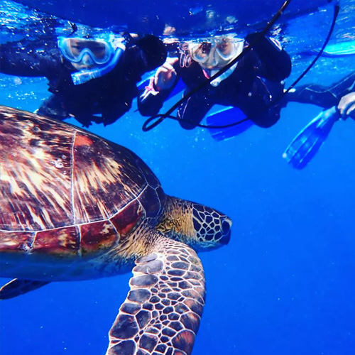 石垣島シュノーケリング風景①