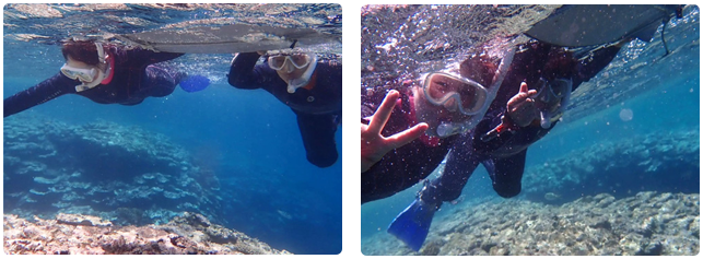 石垣島シュノーケリング