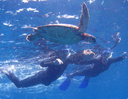 シュノーケリングの魅力2