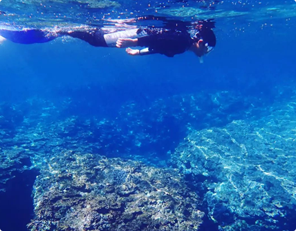 シュノーケリングの魅力3