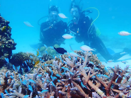 石垣島リフレッシュダイビング①