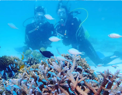 石垣島ダイビングライセンス