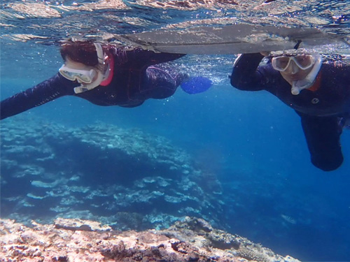 石垣島シュノーケリング風景① 石垣島シュノーケリング風景①