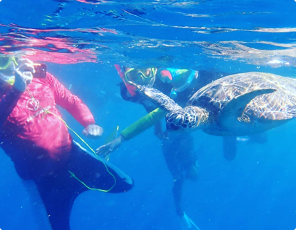 シュノーケリングの魅力1 シュノーケリングの魅力1