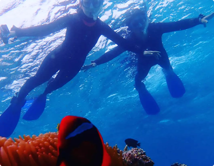 シュノーケリングの魅力3 シュノーケリングの魅力3