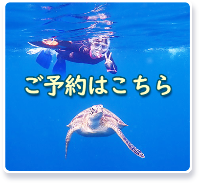 ダイビング予約