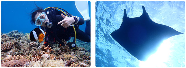 石垣島ファンダイビング 石垣島ファンダイビング