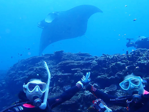 石垣島ファンダイビング② 石垣島ファンダイビング②