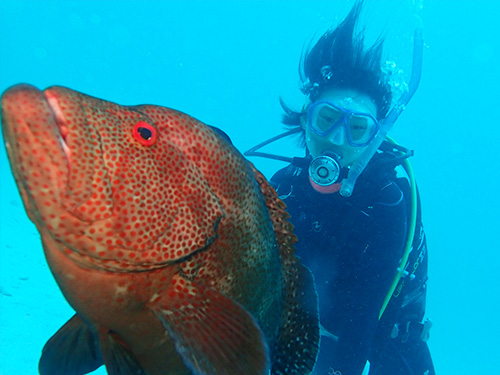 石垣島 ファンダイビング① 石垣島 ファンダイビング①
