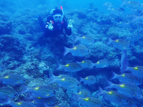 ファンダイビングの魅力1 ファンダイビングの魅力1