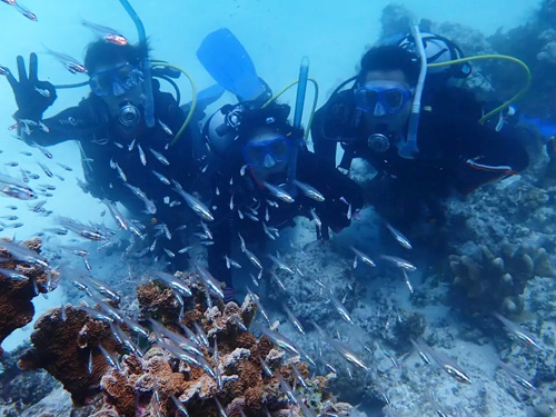 体験ダイビングの魅力3