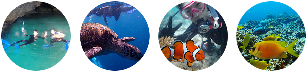 石垣島ダイビング・シュノーケリング風景