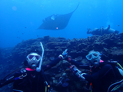 石垣島/マンタとダイバー