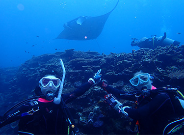 石垣島/マンタとダイバー