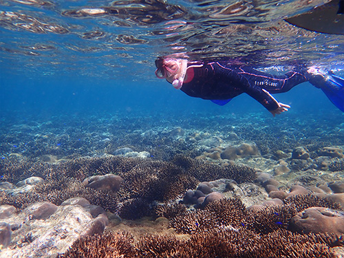 石垣島ダイビング風景③