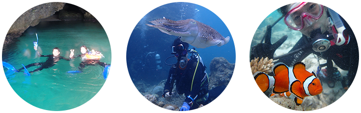 ダイビング・シュノーケリング風景